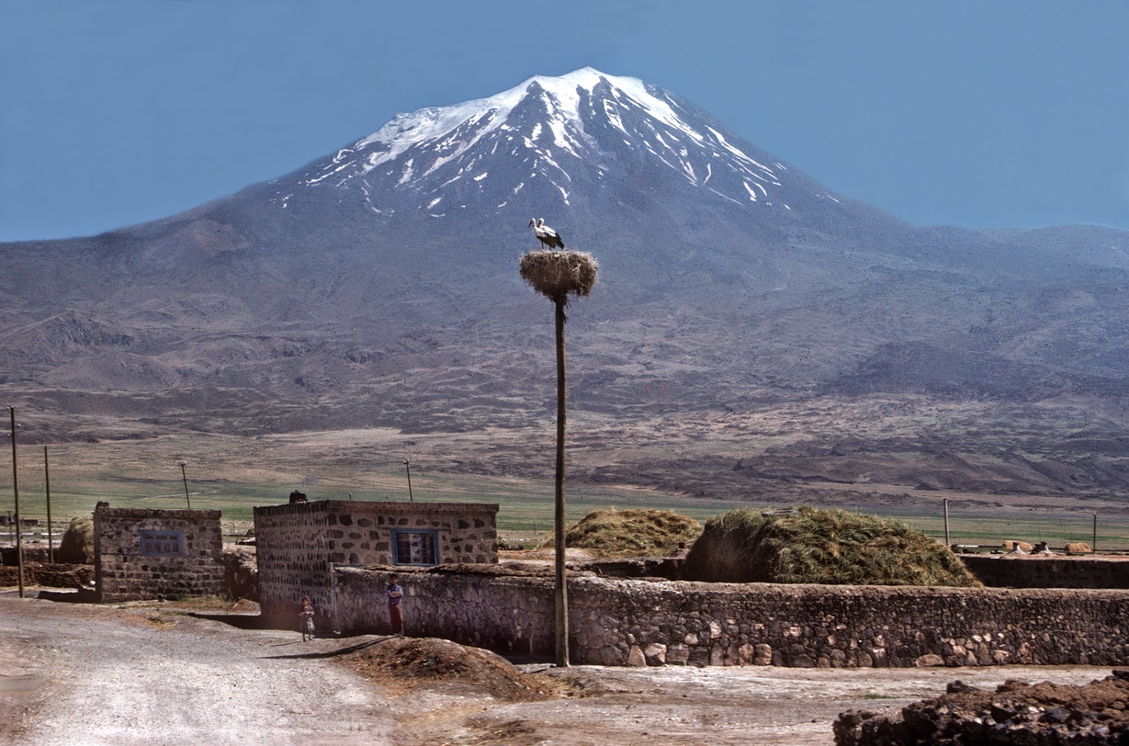 a%C4%9Fr%C4%B1 rooteto1